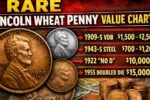 Rare Lincoln Wheat Penny Value Chart: Coin Estimated at 12.8 Million Still Found in Circulation